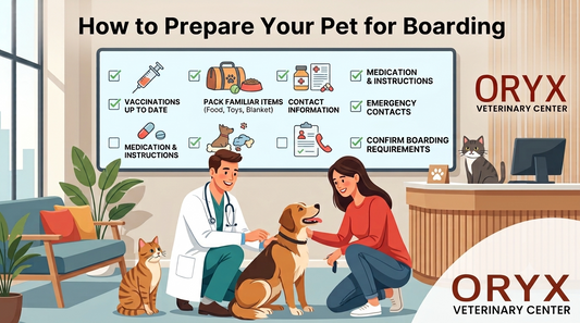 How to Prepare Your Pet for Boarding