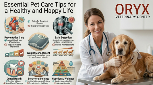Essential Pet Care Tips for a Healthy and Happy Life