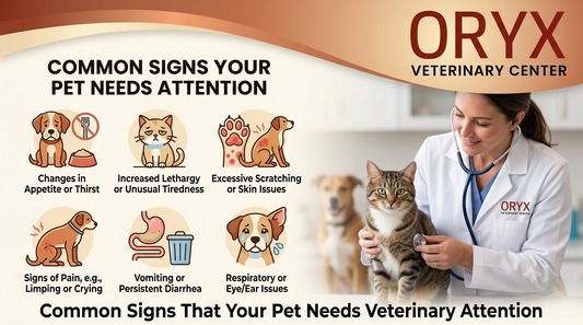 Common Signs That Your Pet Needs Veterinary Attention