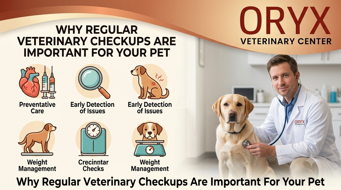 Why Regular Veterinary Checkups Are Important for Your Pet