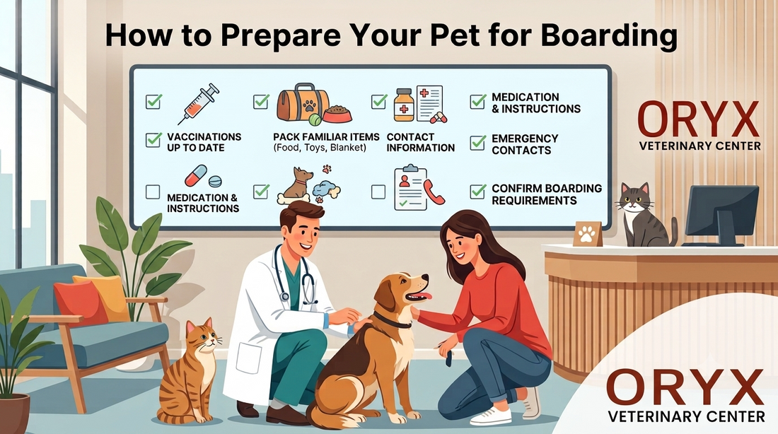 How to Prepare Your Pet for Boarding