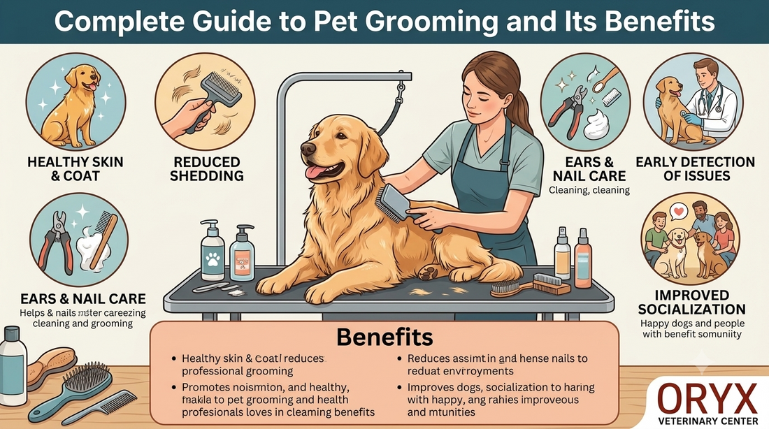 Complete Guide to Pet Grooming and Its Benefits