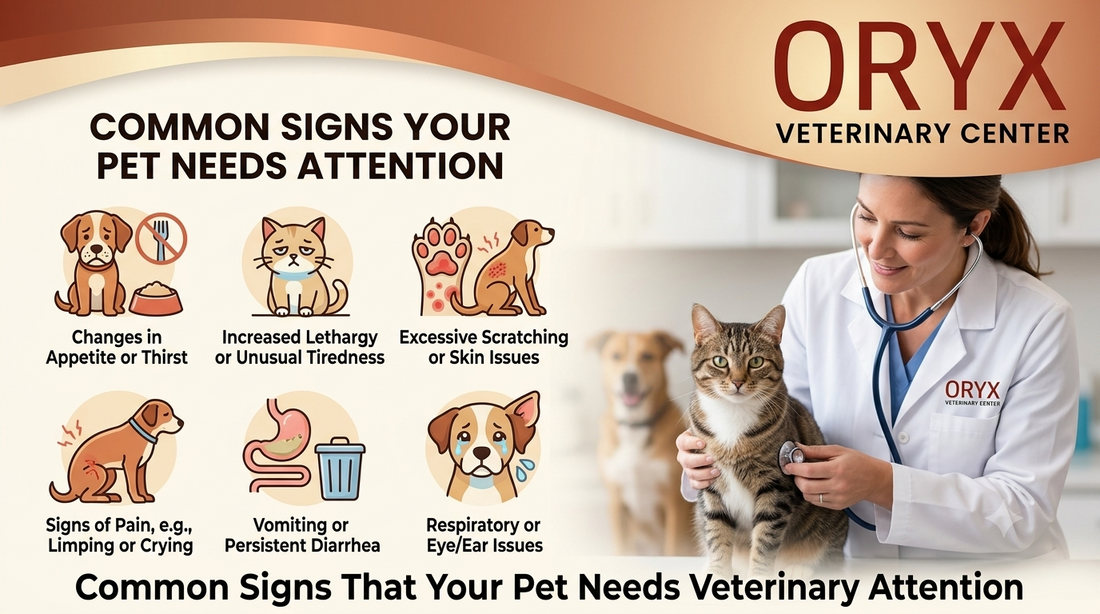 Common Signs That Your Pet Needs Veterinary Attention