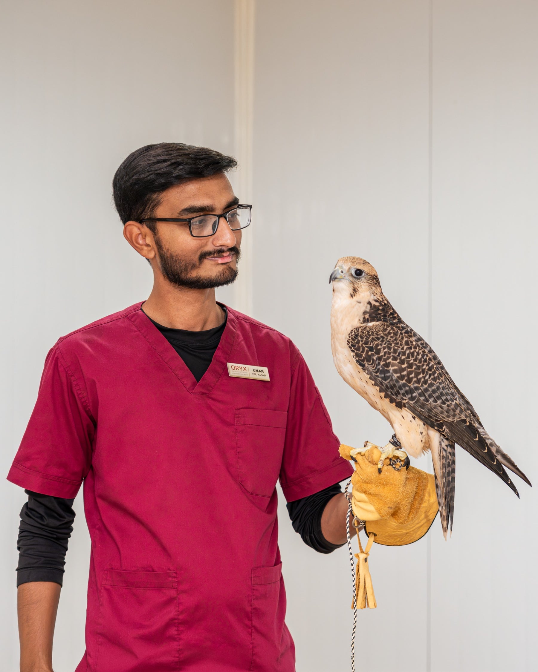 Complete Falcon Care
Solutions