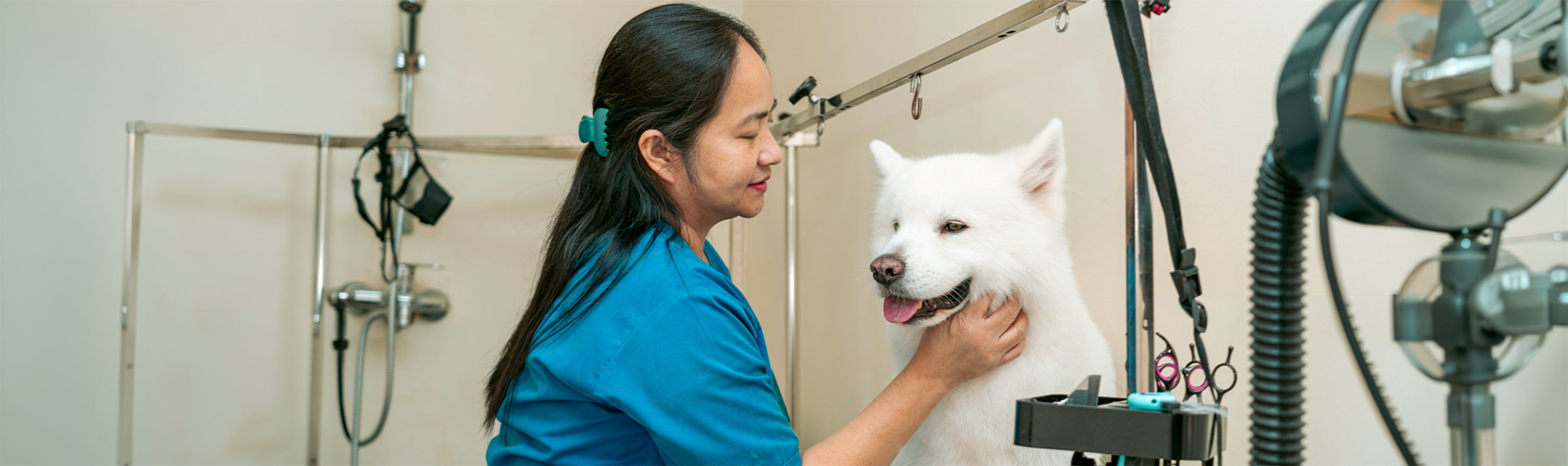 PET GROOMING